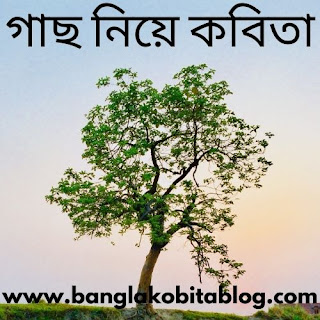 গাছ নিয়ে কবিতা