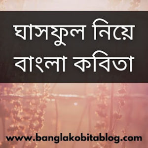 ঘাসফুল নিয়ে বাংলা কবিতা (1)