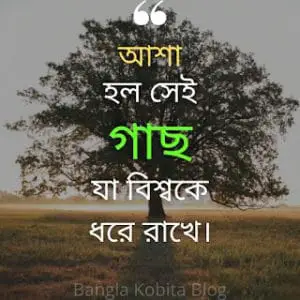 ৩০টি সেরা গাছ নিয়ে উক্তি | Tree Quotes In Bengali