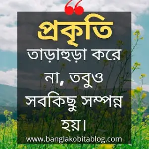 ৫০+ প্রকৃতি নিয়ে উক্তি (Nature Quotes In Bengali)