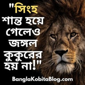 bangla-status