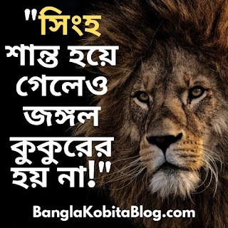 সেরা বাংলা স্ট্যাটাস: Bangla Status For Whatsapp & Facebook