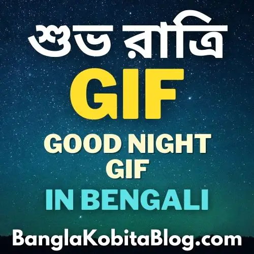 শুভ রাত্রি GIF (Good Night GIF In Bengali)