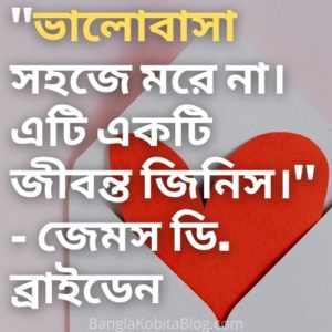 love-quotes-in-bengali