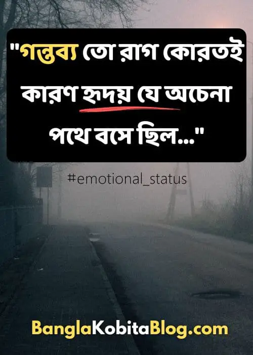 emotional-status-in-bengali