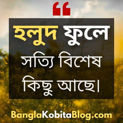 ২১+ সেরা হলুদ ফুল নিয়ে ক্যাপশন (Yellow Flower Bangla Caption)