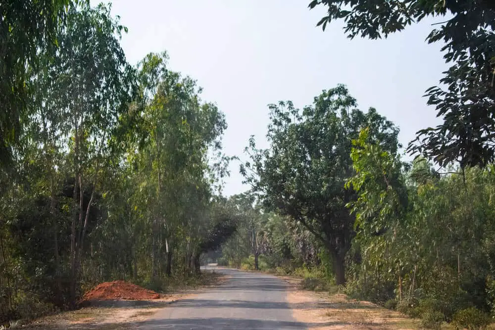 Gramer-Prokriti-Village-Nature-Caption-Bangle